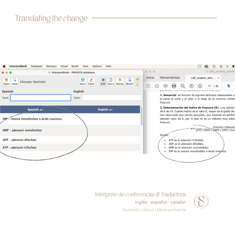 Técnicas de especialización en la traducción e interpretación